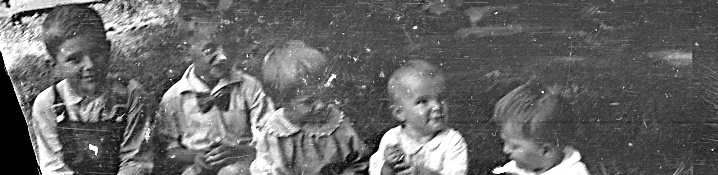 Family Photography panorama