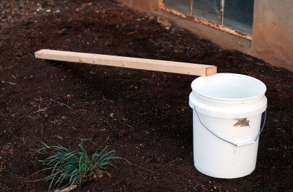 Bucket Trap