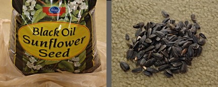 Black Oil Sunflower Seeds